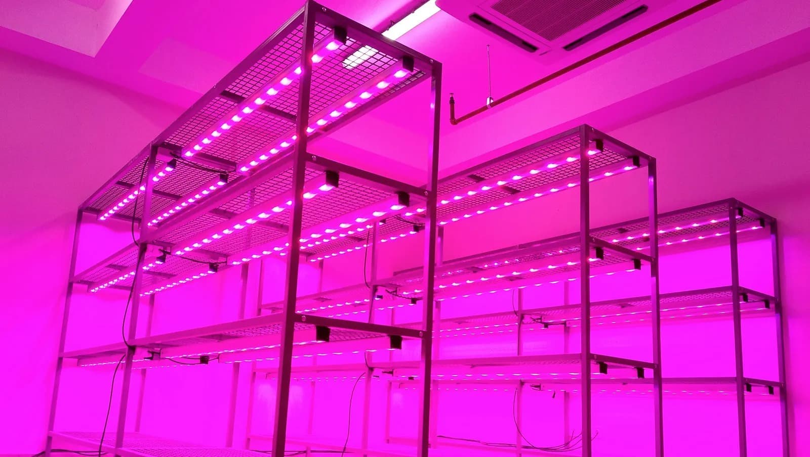 LED Horticultural Lighting System 5
