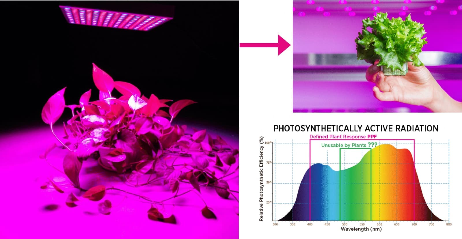 Horticultural Lighting